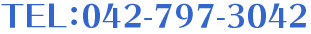 TEL:042-797-3042